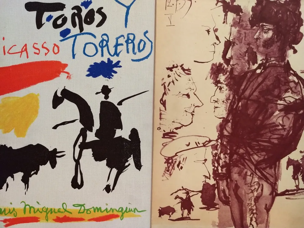 Livro Ilustrado Picasso - Toros Tore Ros