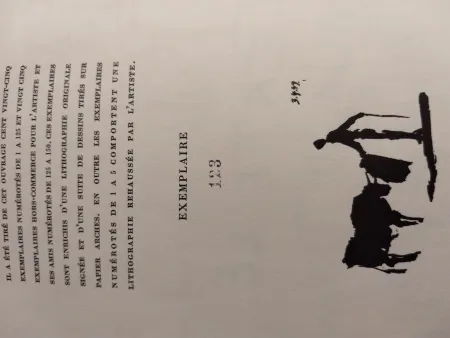 Livro Ilustrado Picasso - Toros Toreros