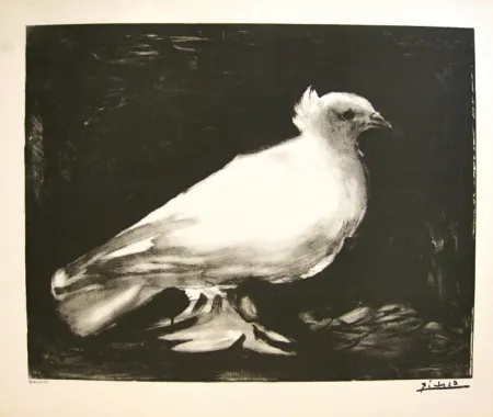 Litografia Picasso - XXème anniversaire, mouvement de la paix (before lettering)