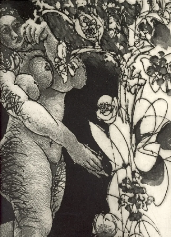 Livro Ilustrado Pignateli - Controra