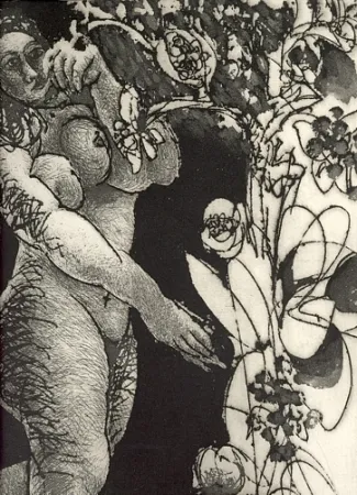 Livro Ilustrado Pignateli - Controra