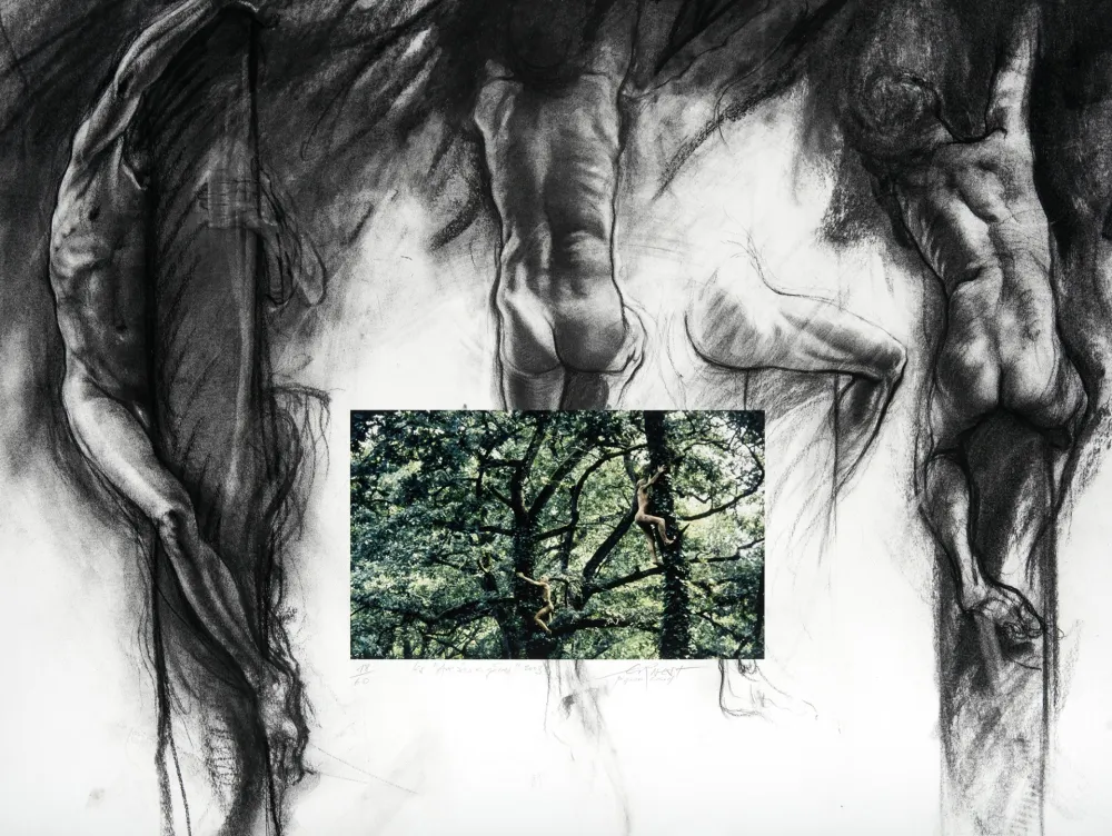 Gravura Digital Pignon-Ernest - Arbrorigènes (Les)