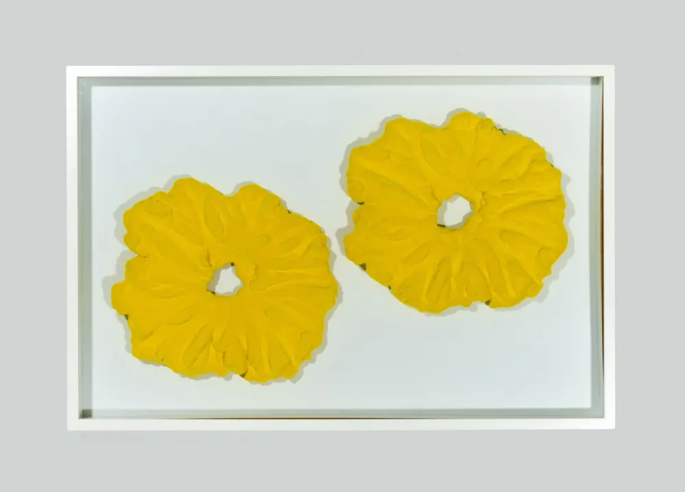 Sem Técnica Pinelli - Pittura G.