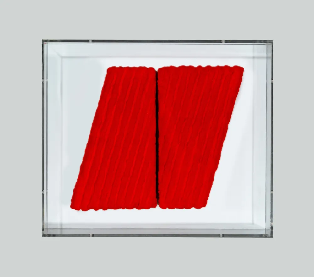 Sem Técnica Pinelli - Pittura R.