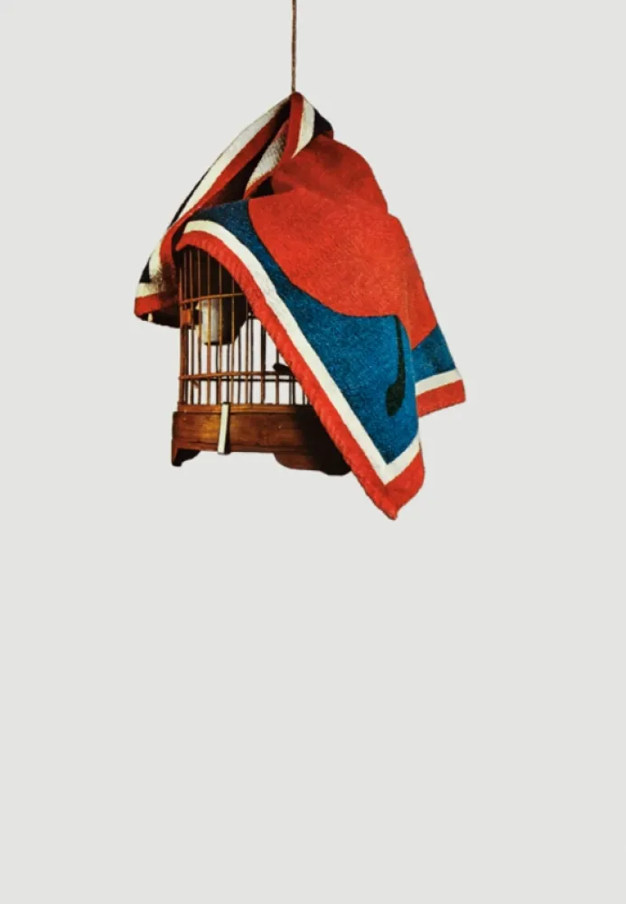 Serigrafia Pistoletto - La gabbietta