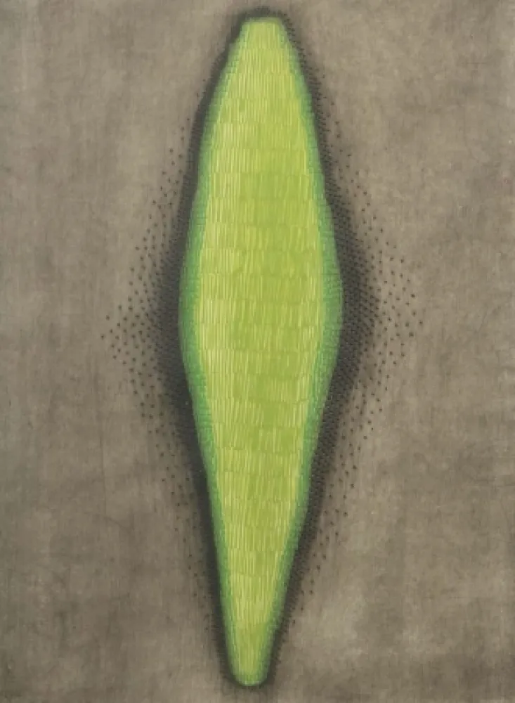 Água-Tinta Piza - Sans titre