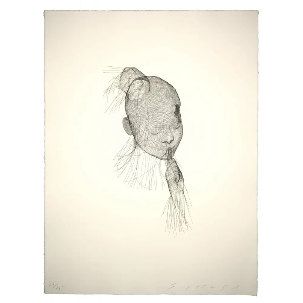 Água-Forte Plensa - Sin titulo