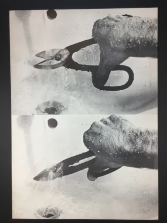 Litografia Plessi - Naufragio 