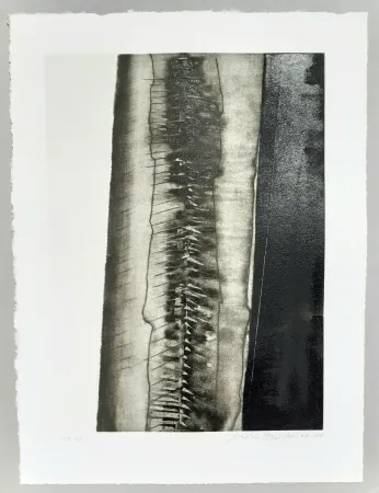 Água-Tinta Pomodoro - Composizione