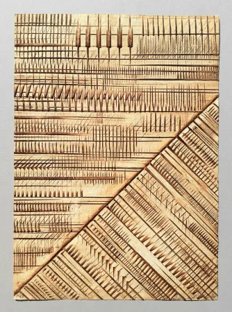 Relevo Pomodoro - Lettera di divisione dei terreni