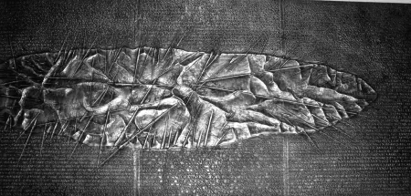 Livro Ilustrado Pomodoro - Sette frammenti da l'Arte dell'uomo primordiale