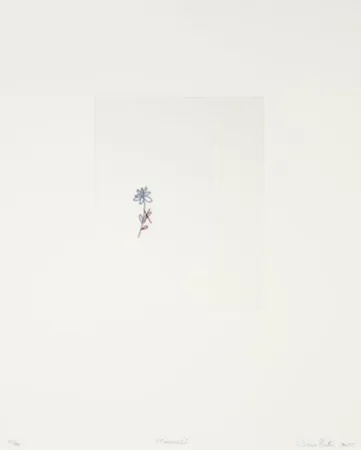 Gravura Porter - Corrección