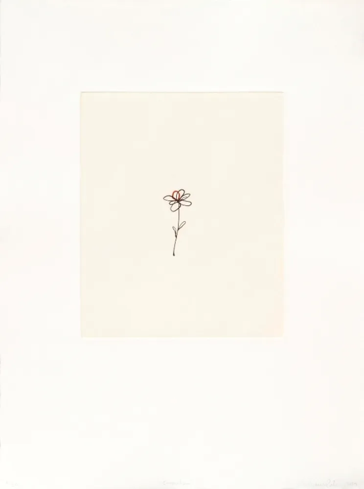 Gravura Porter - Mod. 5