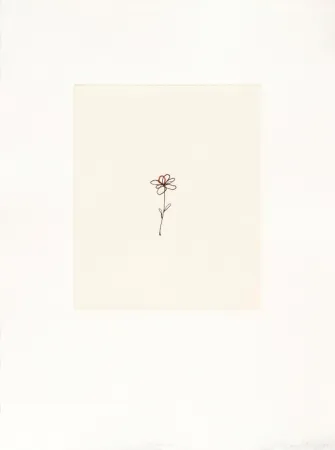 Gravura Porter - Mod. 5