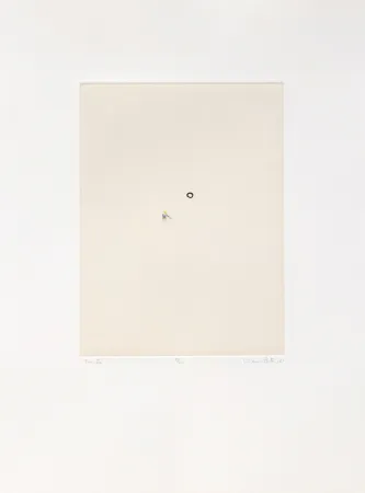 Múltiplo Porter - Tenista