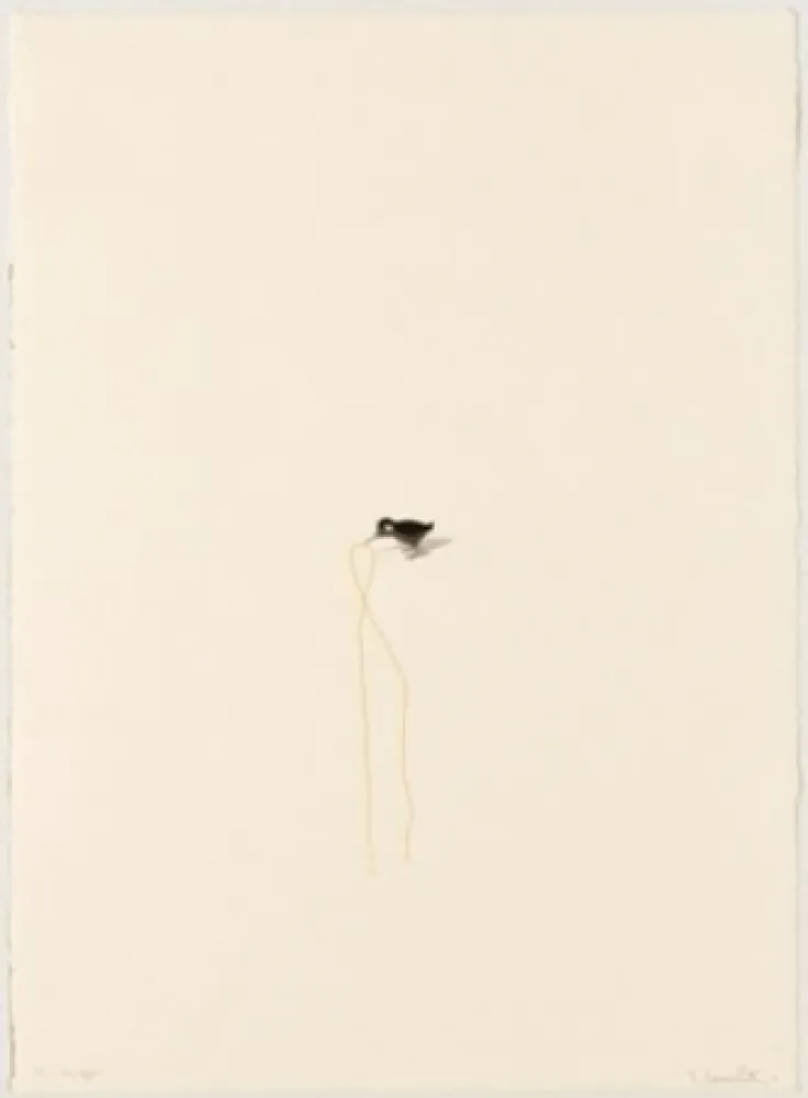 Litografia Porter - The Offer