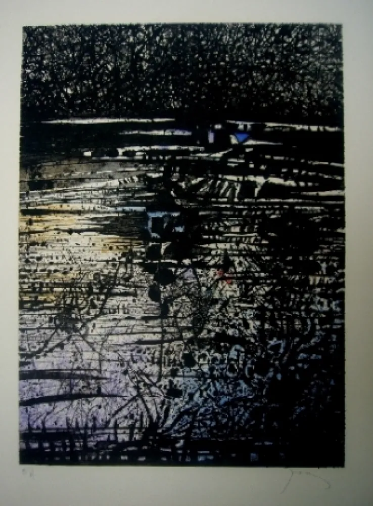 Água-Forte E Água-Tinta Prassinos - L'étang