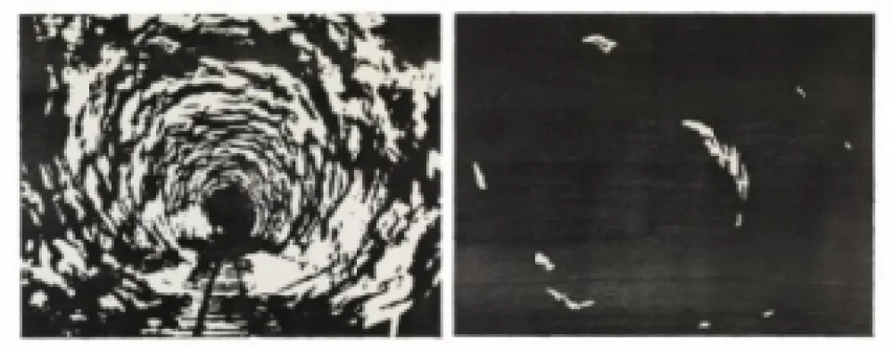 Xilogravura Putrih - Reprojection II  (IIa et IIb)