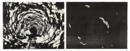 Xilogravura Putrih - Reprojection II  (IIa et IIb)