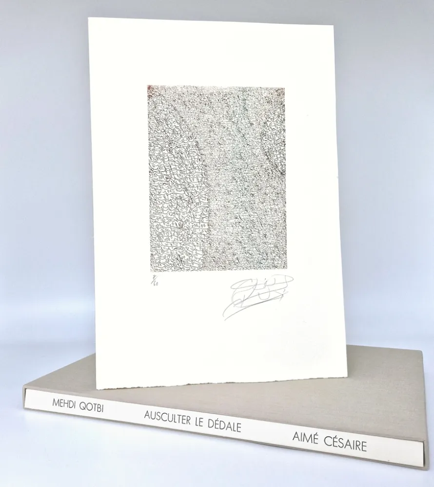 Livro Ilustrado Qotbi - Ausculter le dédale