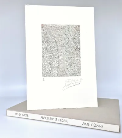 Livro Ilustrado Qotbi - Ausculter le dédale