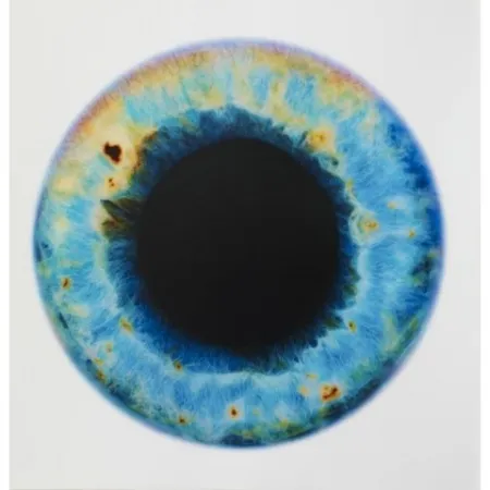 Sem Técnica Quinn - Blue Planet