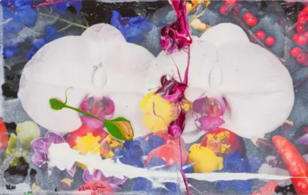 Múltiplo Quinn - Orchids