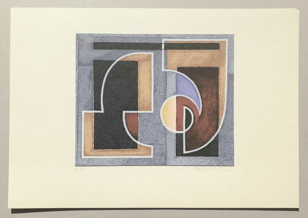 Serigrafia Radice - Composizione Tav. 2