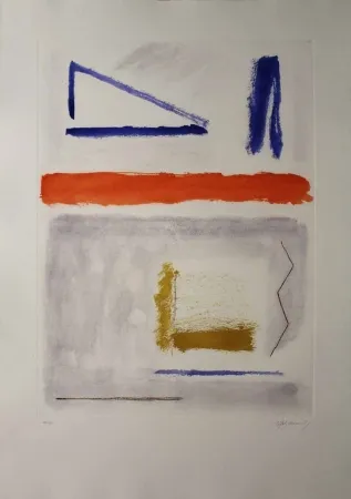 Água-Forte E Água-Tinta Ràfols Casamada - Camí de primavera 1