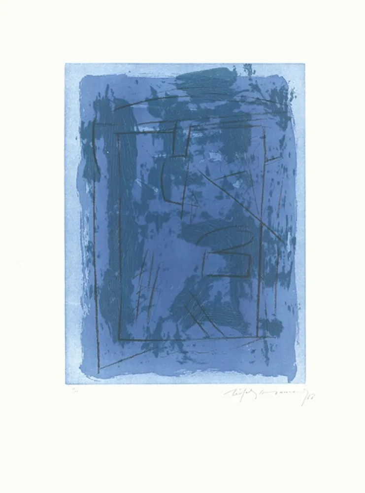 Água-Forte E Água-Tinta Ràfols Casamada - Circ-2