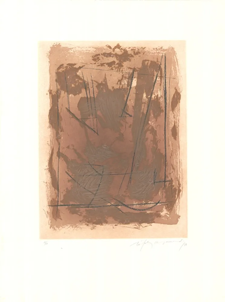 Água-Forte E Água-Tinta Ràfols Casamada - Circ-6