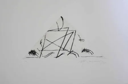 Gravura Ràfols Casamada - Jardí 5