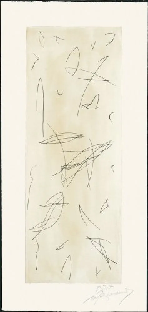 Gravura Ràfols Casamada - Ocells-1