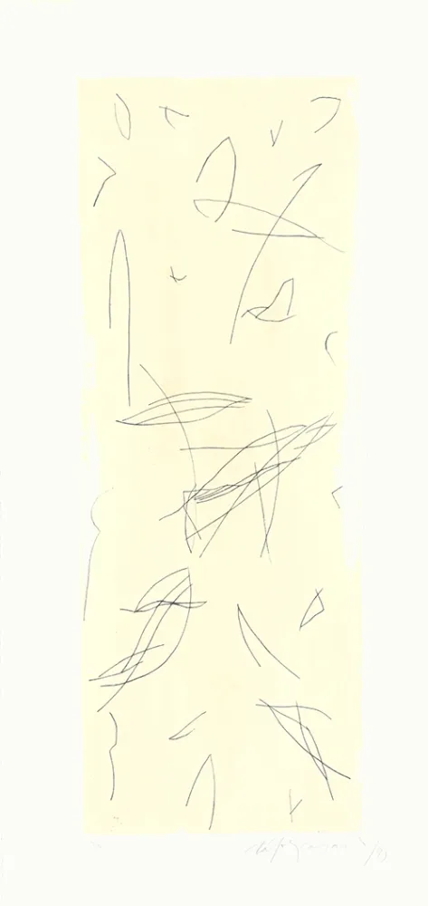 Gravura Ràfols Casamada - Ocells-1