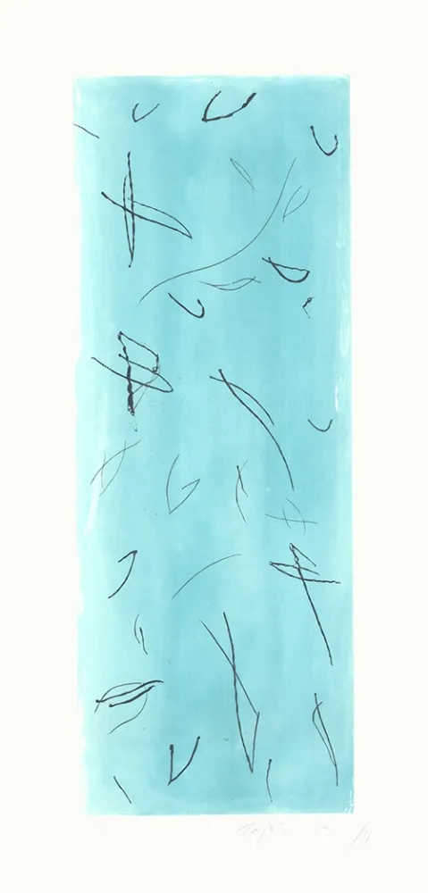 Gravura Ràfols Casamada - Ocells-2