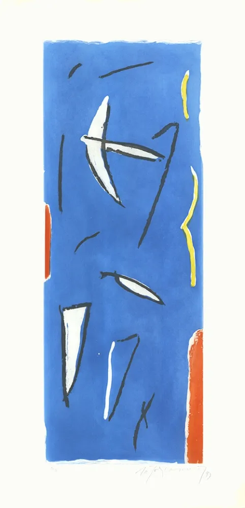 Água-Forte E Água-Tinta Ràfols Casamada - Ocells-3