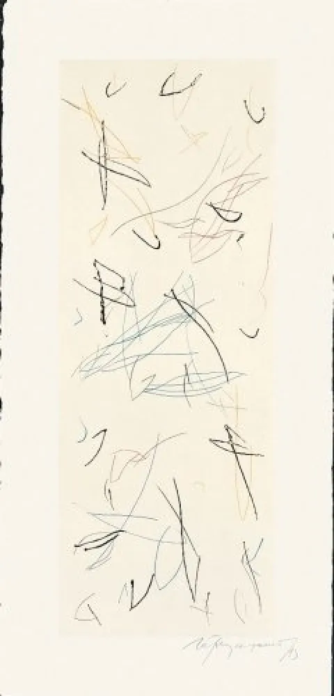 Gravura Ràfols Casamada - Ocells-Variant 1-2