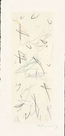 Gravura Ràfols Casamada - Ocells-Variant 1-2