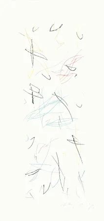 Gravura Ràfols Casamada - Ocells variant 1-2