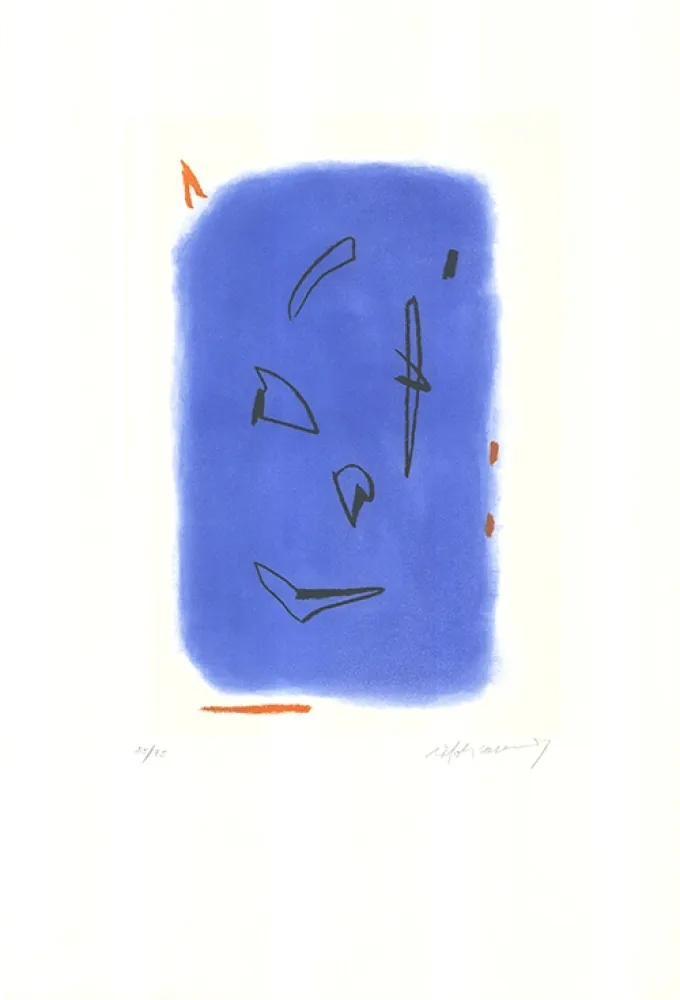 Água-Forte E Água-Tinta Ràfols Casamada - Primavera-1