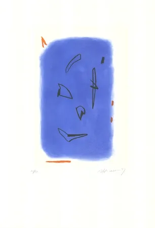 Água-Forte E Água-Tinta Ràfols Casamada - Primavera-1