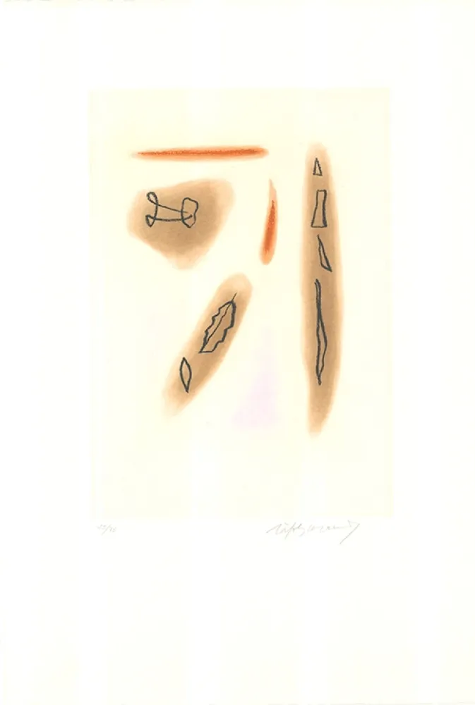 Água-Forte E Água-Tinta Ràfols Casamada - Primavera-3