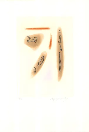 Água-Forte E Água-Tinta Ràfols Casamada - Primavera-3