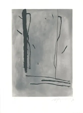 Água-Forte E Água-Tinta Ràfols Casamada - Signe i Color-1