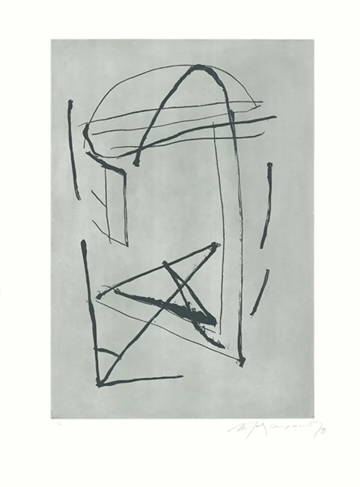 Água-Forte E Água-Tinta Ràfols Casamada - Signe i color-2