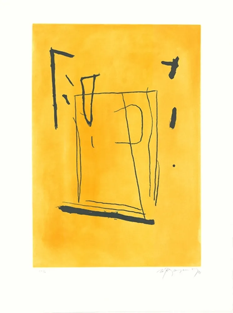 Água-Forte E Água-Tinta Ràfols Casamada - Signe i color 3