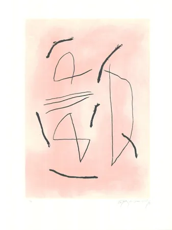 Água-Forte E Água-Tinta Ràfols Casamada - Signe i color 4