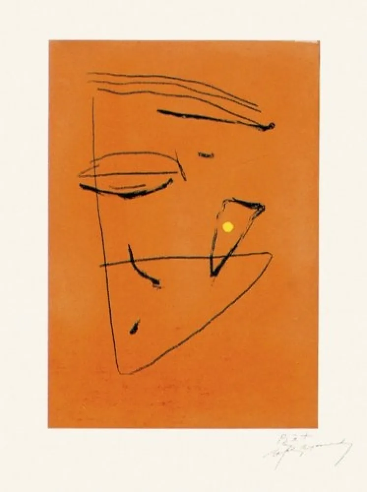 Gravura Ràfols Casamada - Signe i color - 5