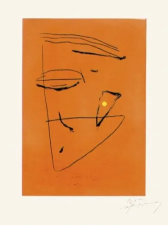 Gravura Ràfols Casamada - Signe i color - 5