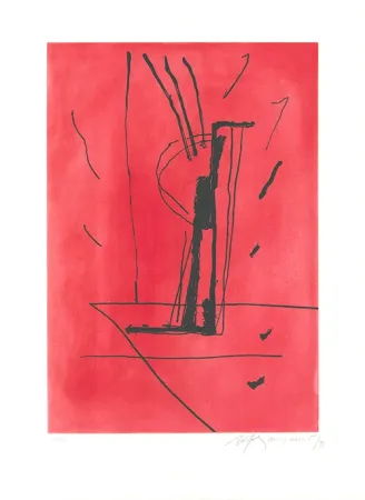 Água-Forte E Água-Tinta Ràfols Casamada - Signe i color 6